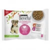 Purina Beneful Schleckermäulchen Lamm & Truthahn 4x 100G 1 Purina Beneful Schleckermäulchen Lamm & Truthahn 4x 100G -Purina Verkäufe beneful schleckermamp228ulchen lammampamptruthahn 4x100g